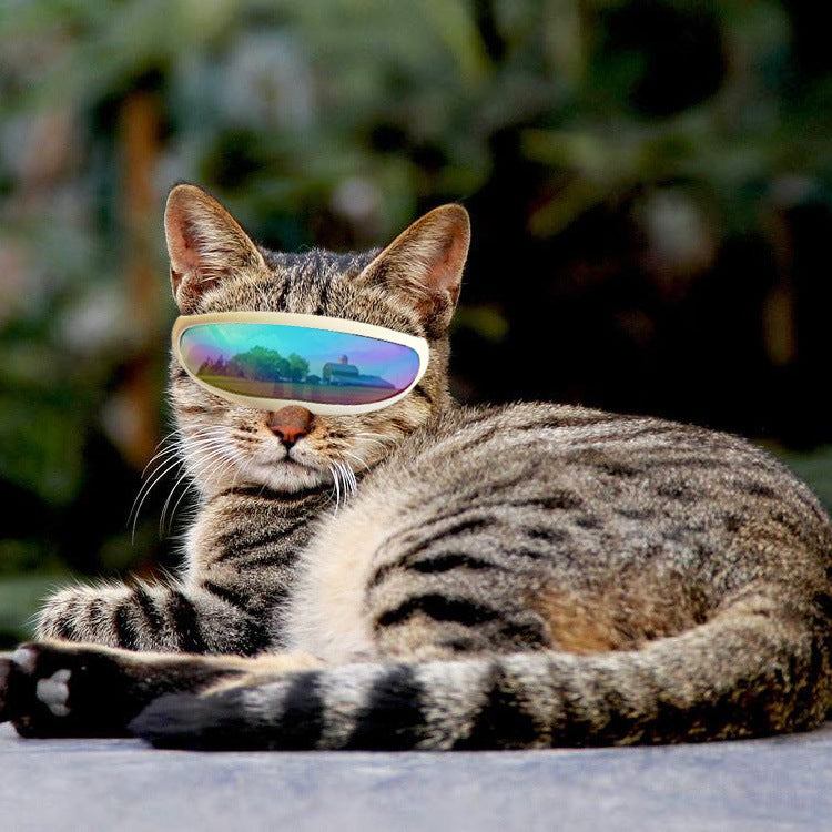Luxury Pet Essentials - Purrfect Pet Kingdom™