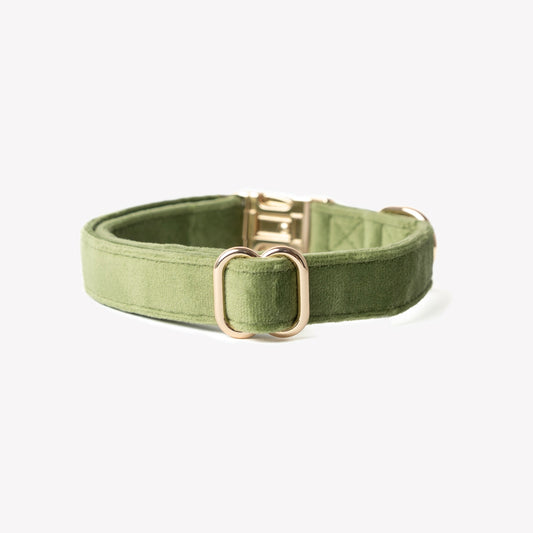 'Green' - Velvet Dog Collar | Purrfect Pet Kingdom