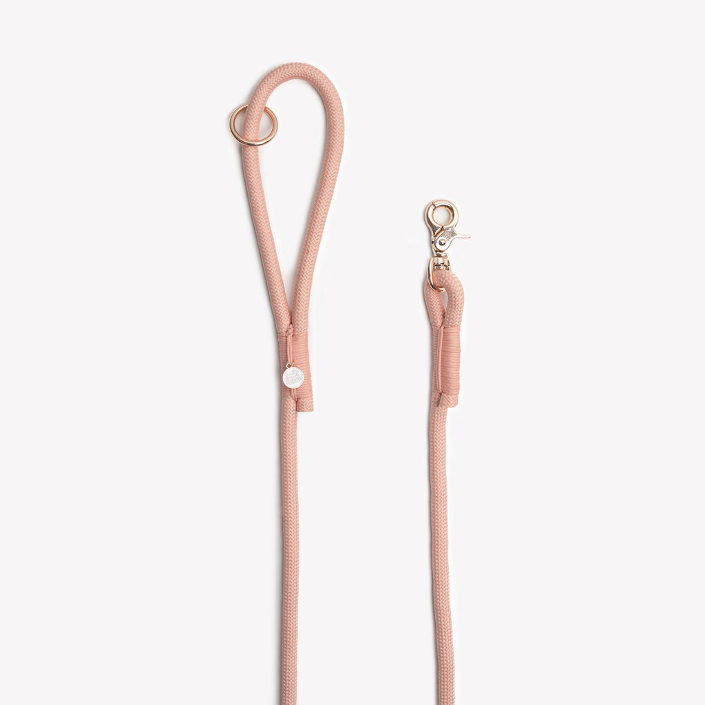 Powder Rose' - Braided Rope Leash - Majestic Pet Kingdom