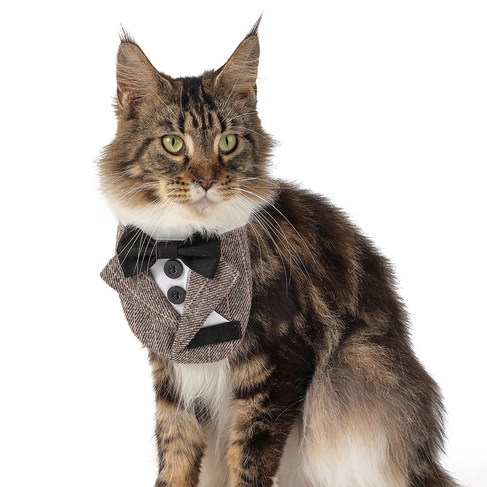 Pet Product - Premium Pet Accessory