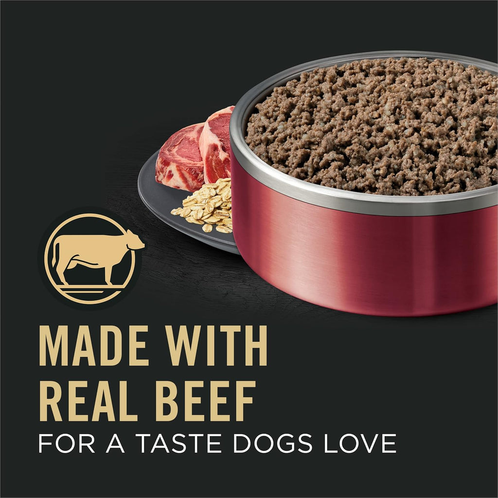 Pro Plan Sensitive Skin & Stomach Wet Dog Food Classic Beef & Oat Meal Entrée (13oz) - Majestic Pet Kingdom