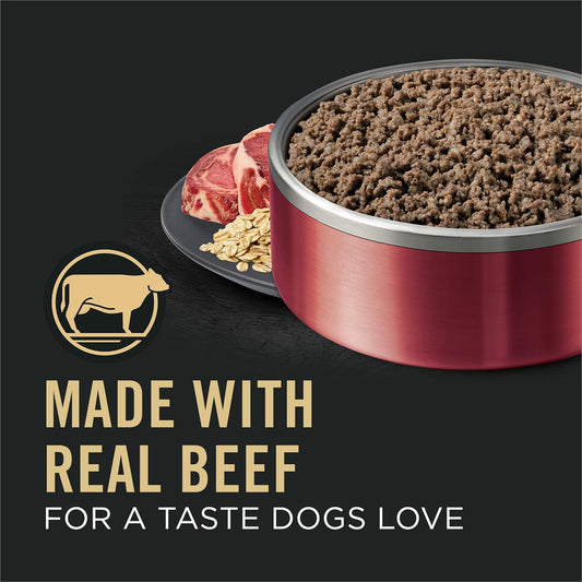 Pro Plan Sensitive Skin & Stomach Wet Dog Food Classic Beef & Oat Meal Entrée (13oz) - Majestic Pet Kingdom