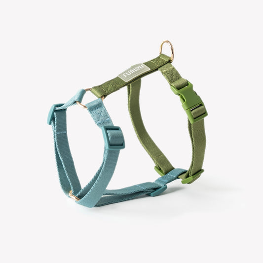 Blue and Green - Dog Harness | Purrfect Pet Kingdom