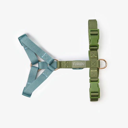 Blue and Green - Dog Harness | Purrfect Pet Kingdom