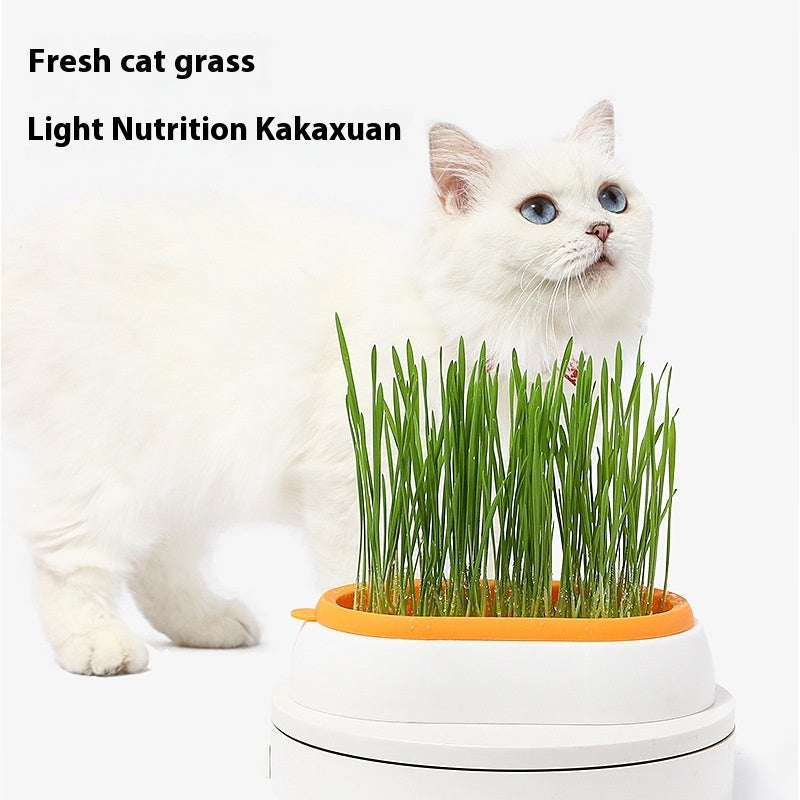 Lazy Soil-free Hydroponic Planting Wheat Seed Cultivation Cat Grass Basin