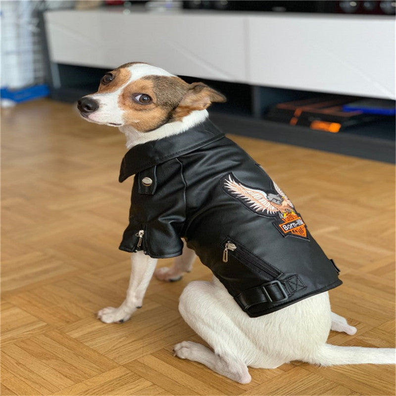Pet Small Dog Sticker Embroidered Eagle Leather Jacket - Majestic Pet Kingdom