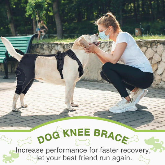 pet-leg-support-dog-knee-brace-post-surgery-rehabilitation-knee-support-joint-protection-bage-luxury-view-2 | Majestic Pet Kingdom