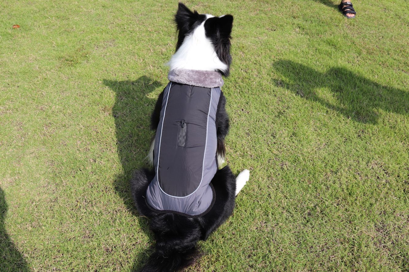 Thickened dog padded coat reflective dog clothing - Majestic Pet Kingdom