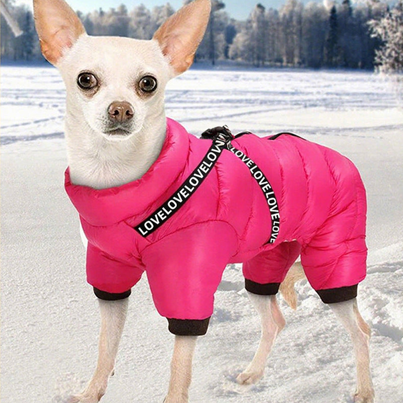 Pet Product - Premium Pet Accessory