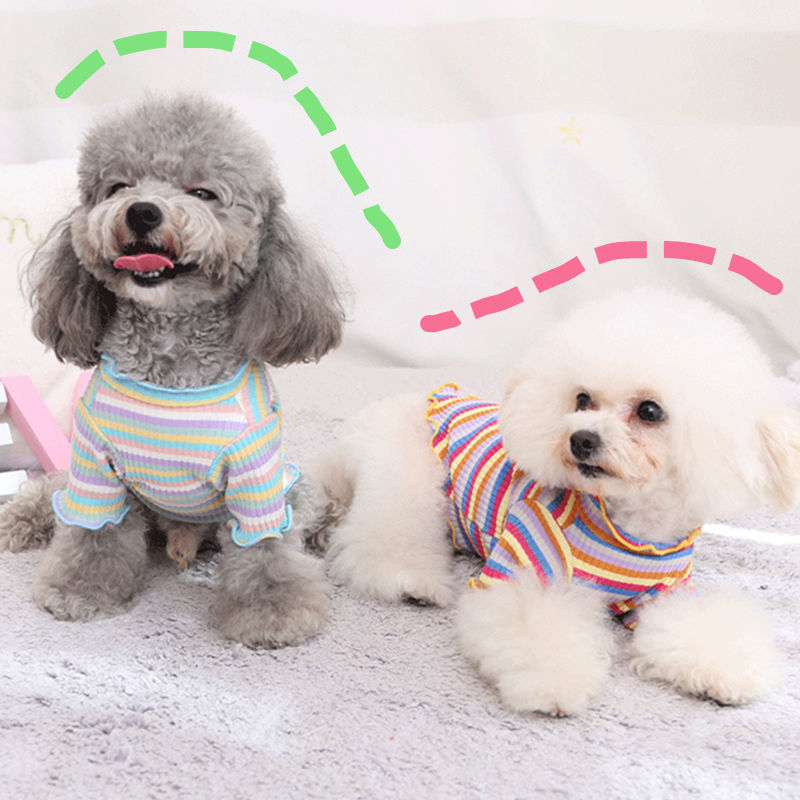 Rainbow Undercoat Dog Clothes Pet Clothes Cat Bears VIP