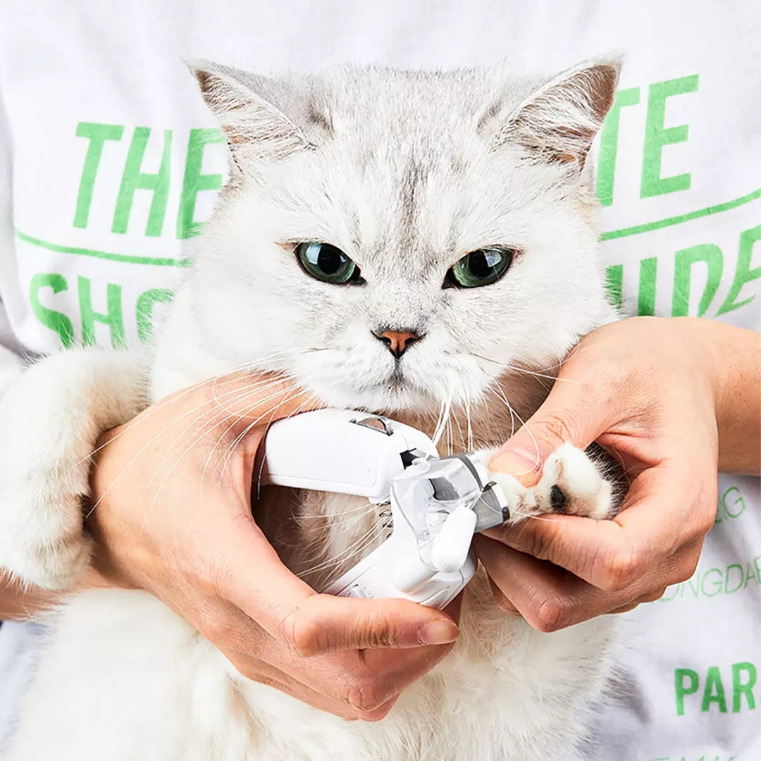 Luxury Pet Essentials - Purrfect Pet Kingdom™