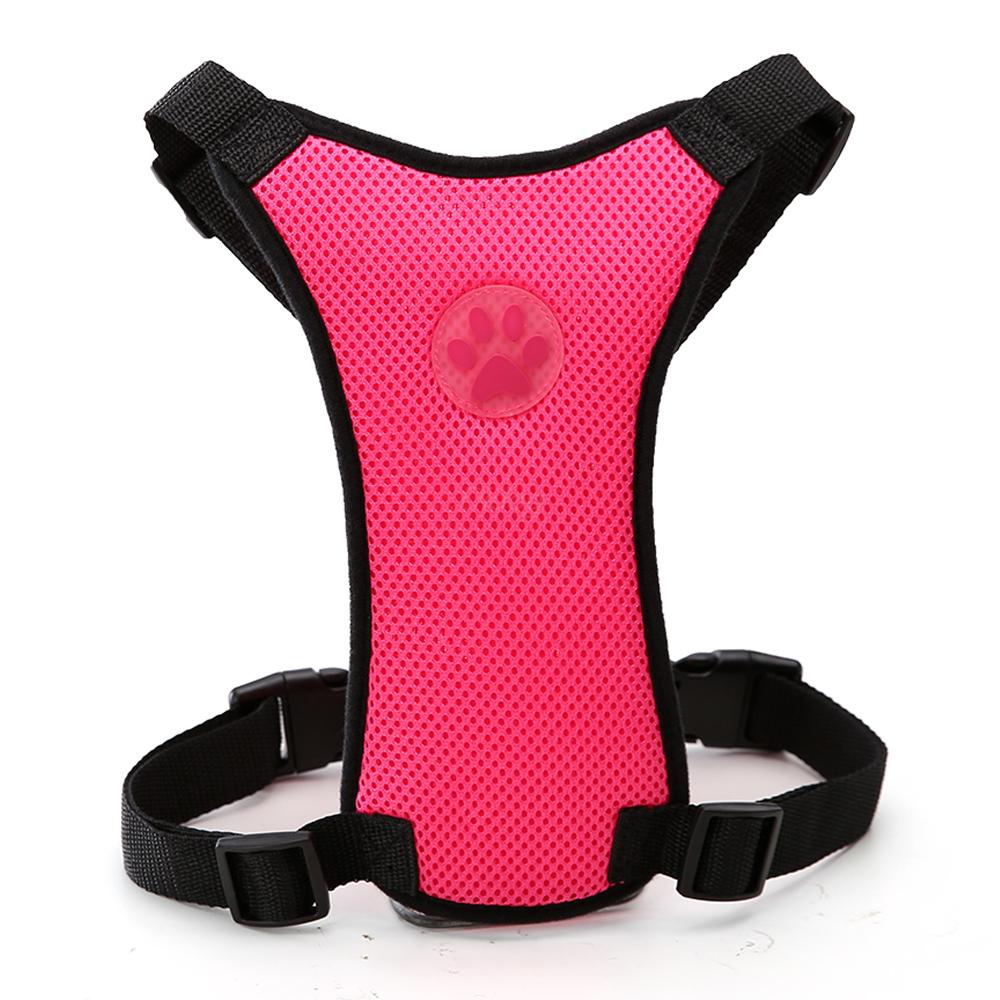 Luxury Pet Essentials - Purrfect Pet Kingdom™