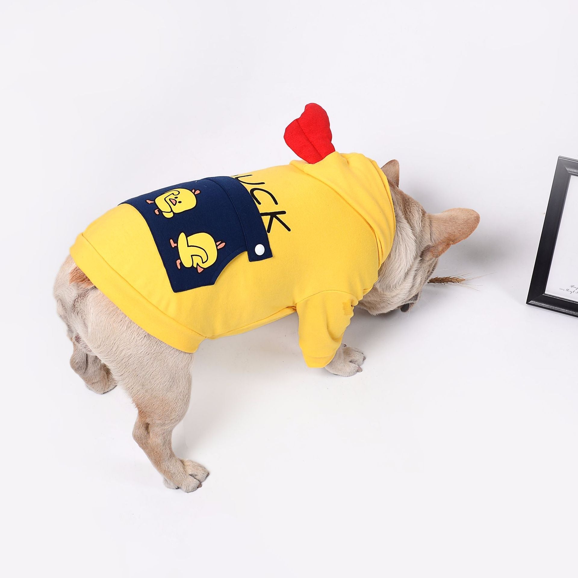 Pet dog clothes - Majestic Pet Kingdom