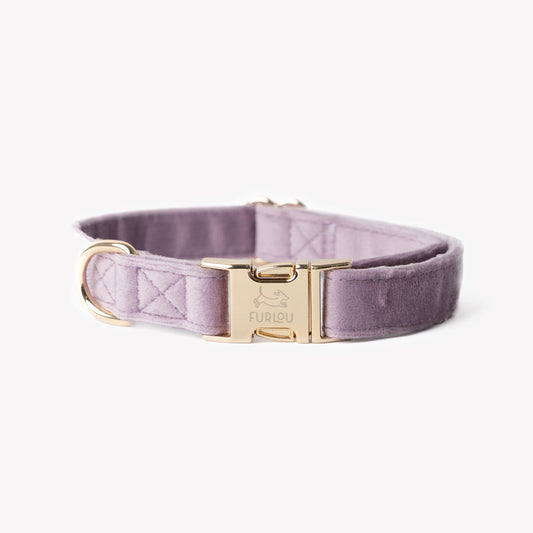 'Lilac' - Velvet Dog Collar | Purrfect Pet Kingdom