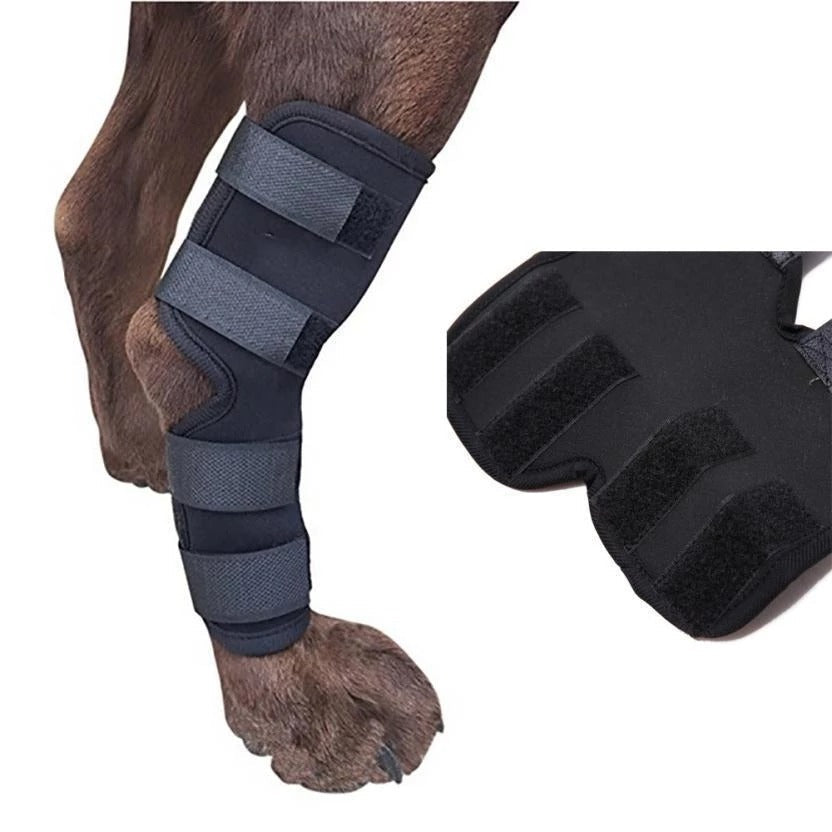 Dog Leg Brace - Majestic Pet Kingdom