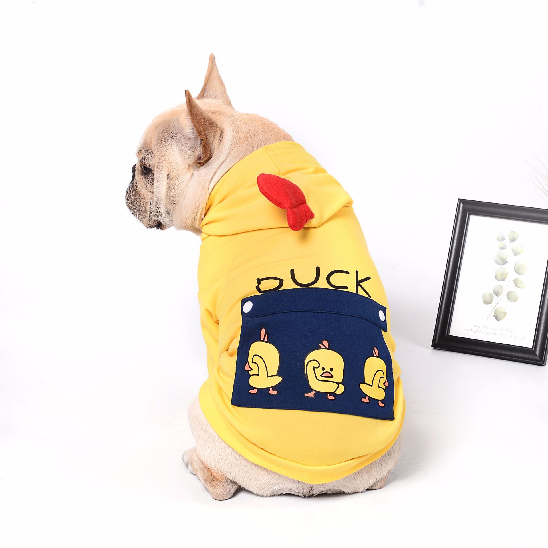 Pet dog clothes - Majestic Pet Kingdom