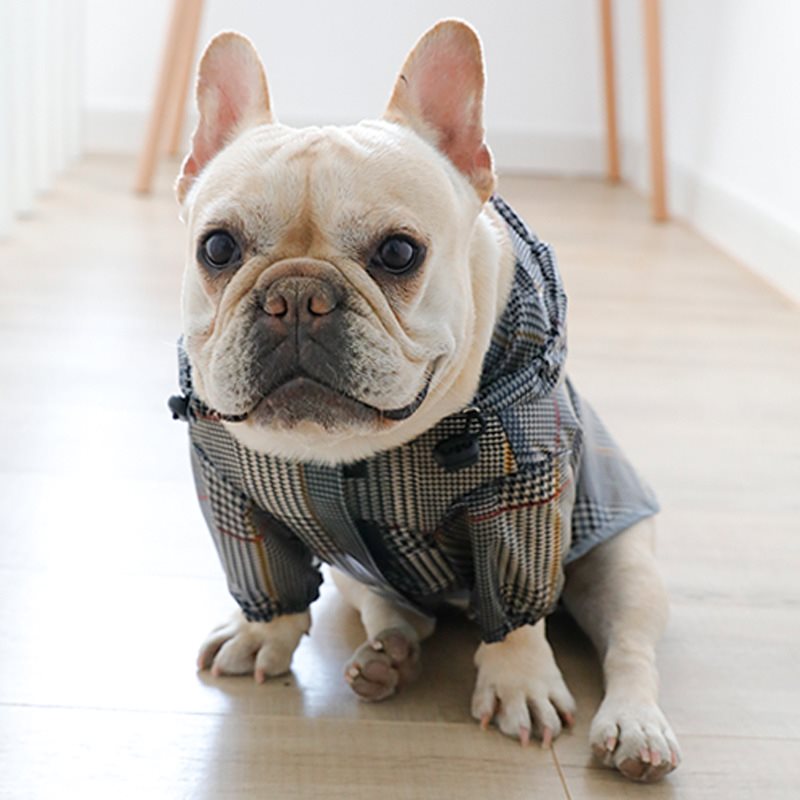 Dog plaid raincoat - Majestic Pet Kingdom