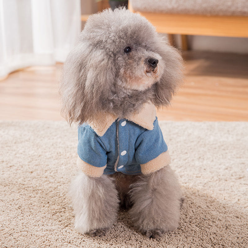 Thick warm clothes for pets - Majestic Pet Kingdom