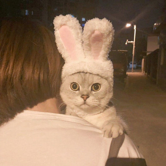 dog-hat-funny-bunny-rabbit-ears-warm-fleece-party-cosplay-cap-luxury-view-1 | Majestic Pet Kingdom
