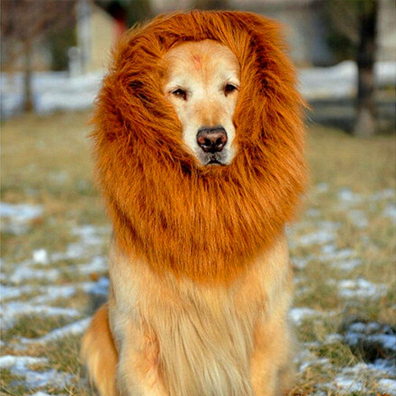 Lion Mane Wig for Large Dogs Pet Wellness Essential | Majestic Pet Kingdom™