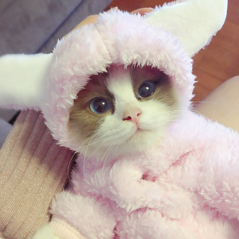 Cat clothes kitten cat cute funny pet - Majestic Pet Kingdom