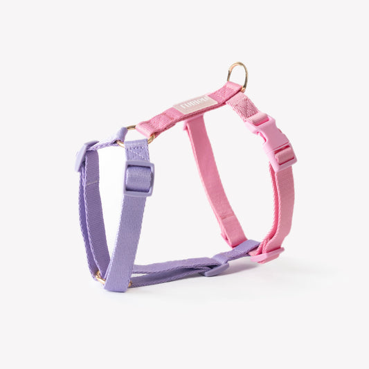 Lavender and Pink - Dog Harness | Purrfect Pet Kingdom