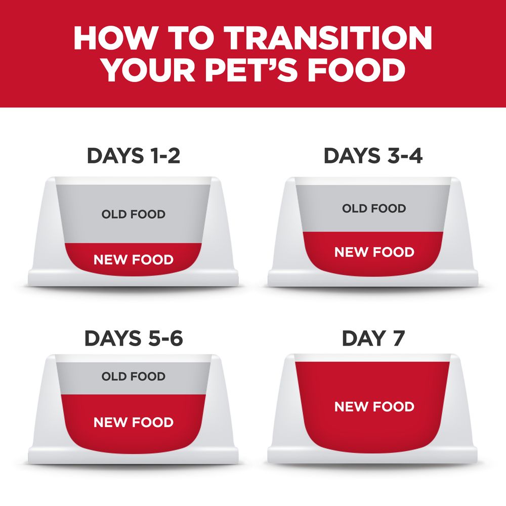 Dog Food Hills Science Diet Small Mini Sensitive Stomach Bag
