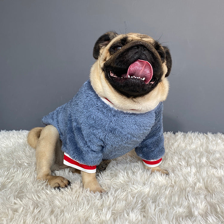 Pet sweater - Premium Pet Accessory