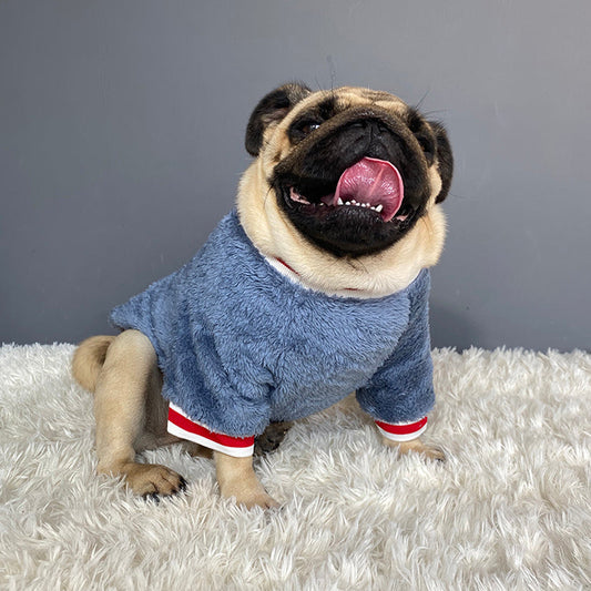 Pet sweater - Premium Pet Accessory