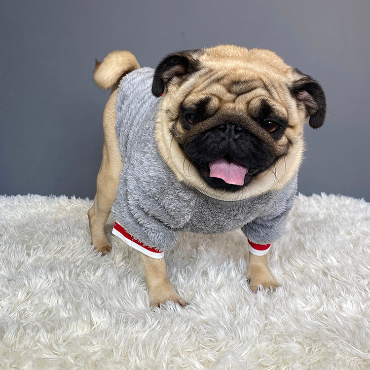 Pet Product - Premium Pet Accessory