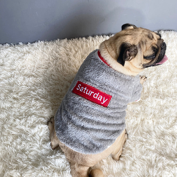 Pet Product - Premium Pet Accessory