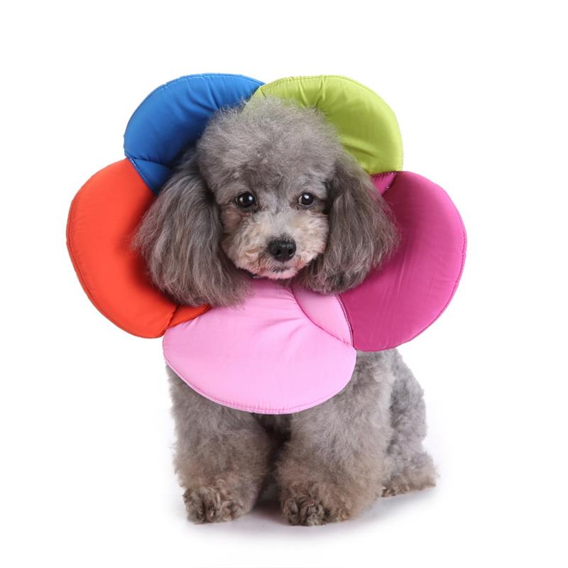 Luxury Pet Essentials - Purrfect Pet Kingdom™