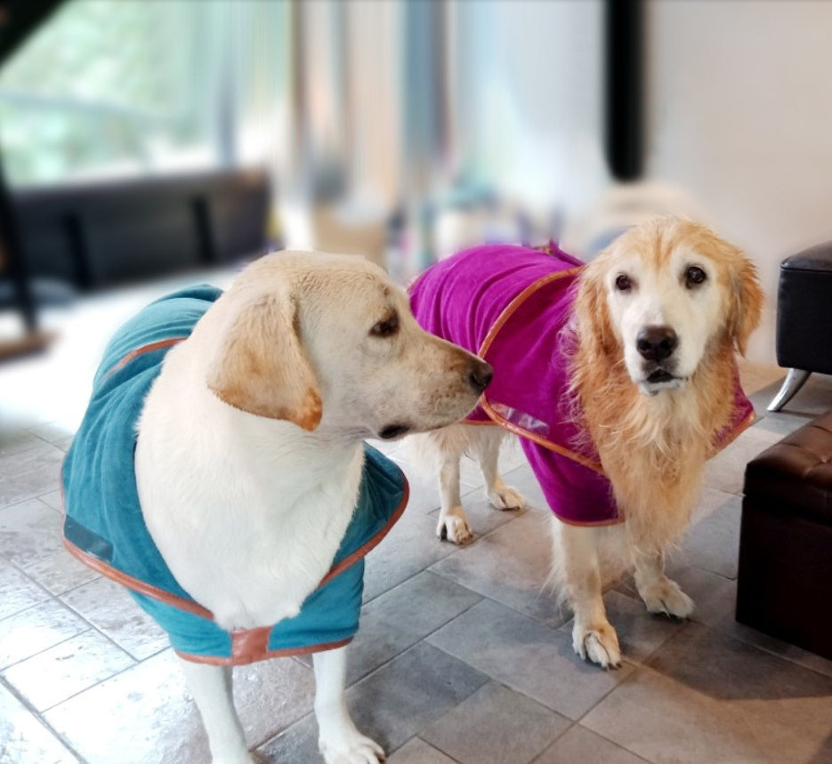 Pet Quick-Drying Absorbent Clothes Towel Bath Towel - Majestic Pet Kingdom