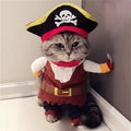 Teddy Pirate Transformed Into Pet Costume - Majestic Pet Kingdom