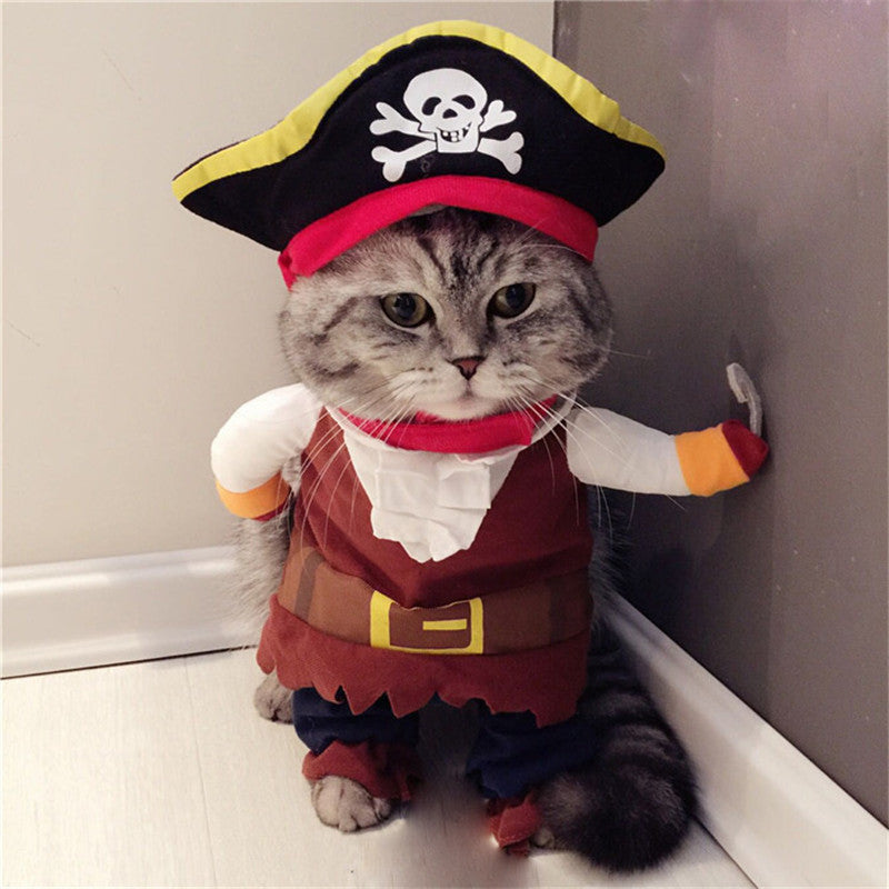 Teddy Pirate Transformed Into Pet Costume - Majestic Pet Kingdom