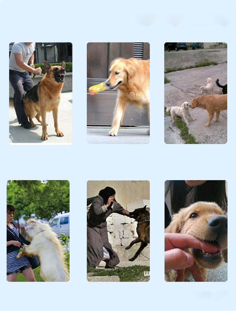 Rechargeable Remote Control Dog Training Device Pet Supplies Rechargeable Bark Stopper - Majestic Pet Kingdom