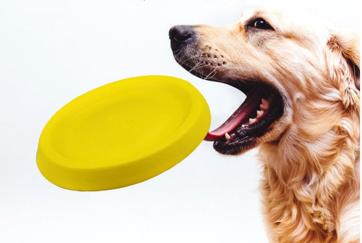 Pet Dogs Throwing Plastic Toys - Purrfect Pet Kingdom™