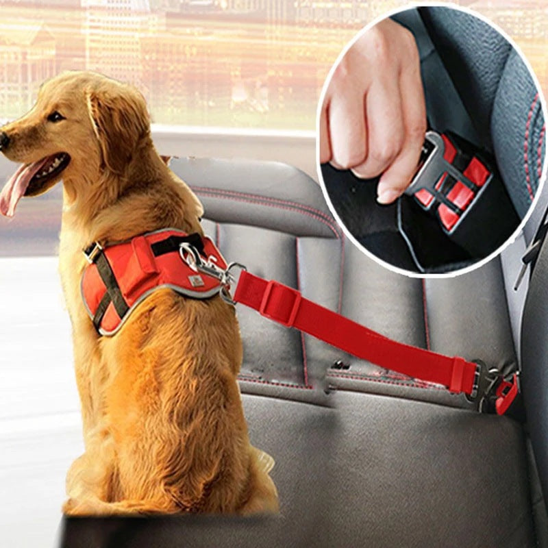 Luxury Pet Essentials - Purrfect Pet Kingdom™