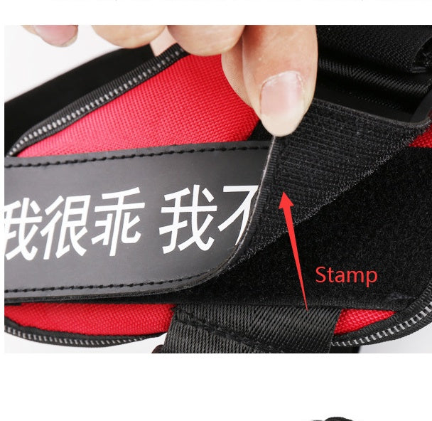 Personalize Dog Harness Dog Name | Purrfect Pet Kingdom