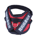 Personalize Dog Harness Dog Name Ergonomic Walking Harness | Majestic Pet Kingdom™