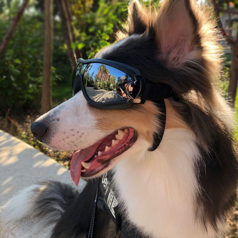 Pet Glasses Dog Sunglasses Law Fighting Supplies Strange Cat Sunglasses Small Dog Goggles Gold Chain Photo Accessories - Purrfect Pet Kingdom™