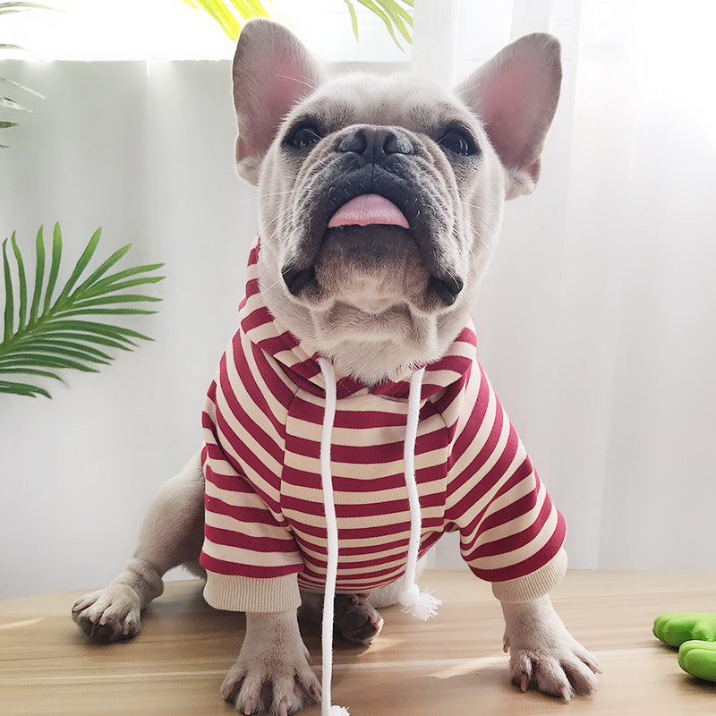 Premium Pet Product Premium Quality Product Essential Q