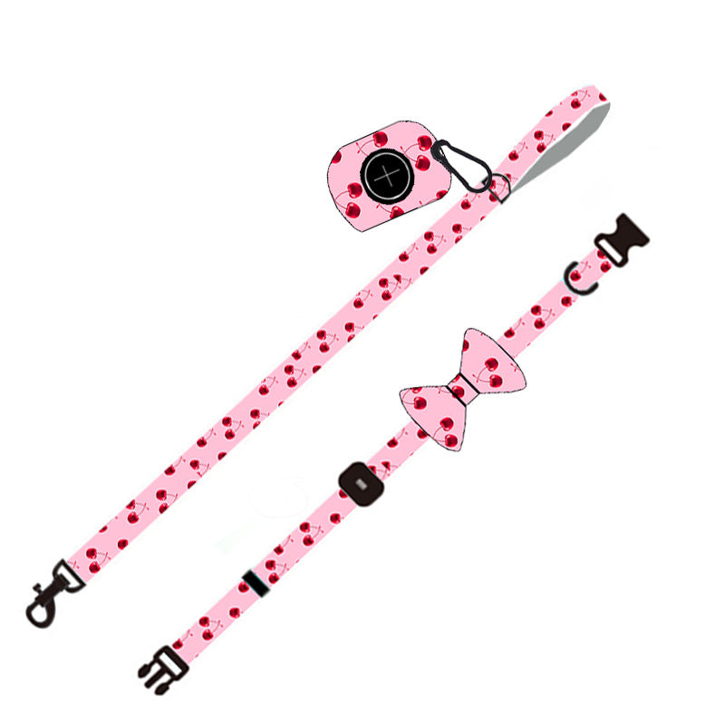 Dog Leash and Collar Set Heavy Duty Padded Nylon Walking Lead - Detail Angle 4 | Majestic Pet Kingdom