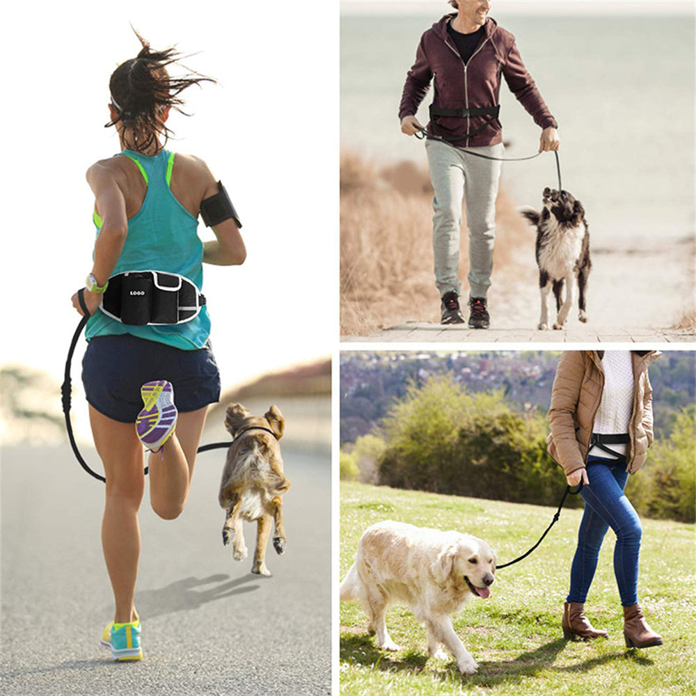 Dog Leash Hands-Free Running Waist Belt with Treat Pouch Set - Main Feature View | Majestic Pet Kingdom