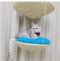 Cat Climbing Frame Tree House Jumping Platform Scratching