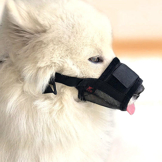 Dog Bite-proof Mouthpiece Guard Dog Bite-proof Furniture Protective | Majestic Pet Kingdom™