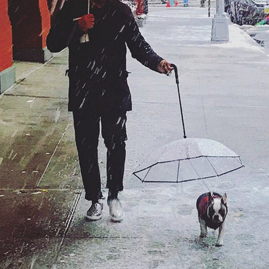 Transparent Pet Umbrella with Built-In Dog Leash Set