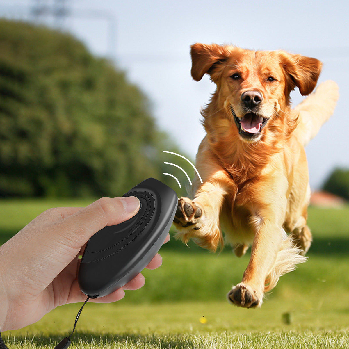 New Ultrasonic Dog Repeller Dog Trainer - Majestic Pet Kingdom