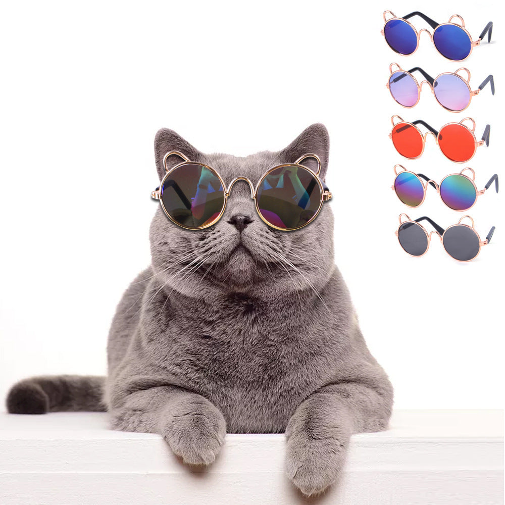 Luxury Pet Essentials - Purrfect Pet Kingdom™