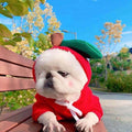 Pet Product - Premium Pet Accessory